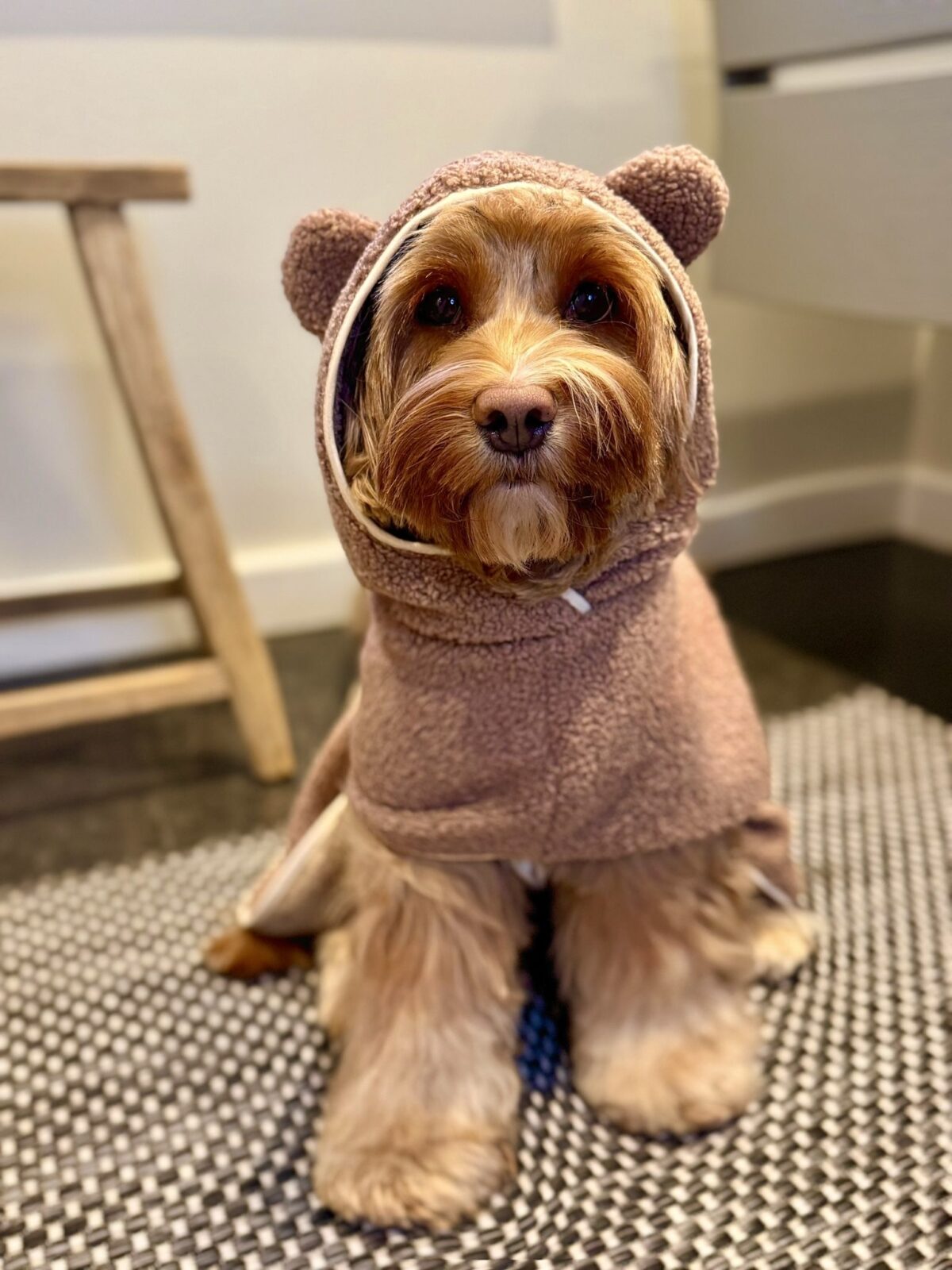 Cozy Bear Towel - obrazek 2