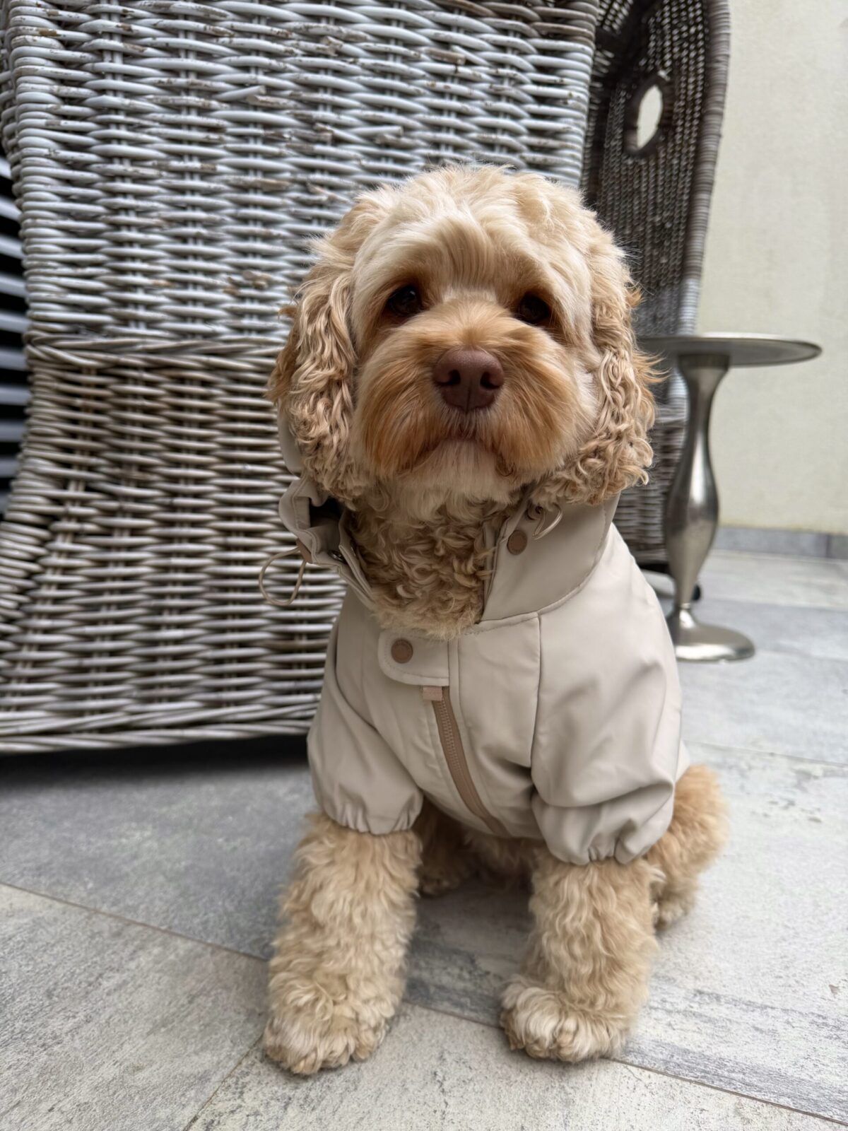 Rain Jacket — Brighton - Image 5