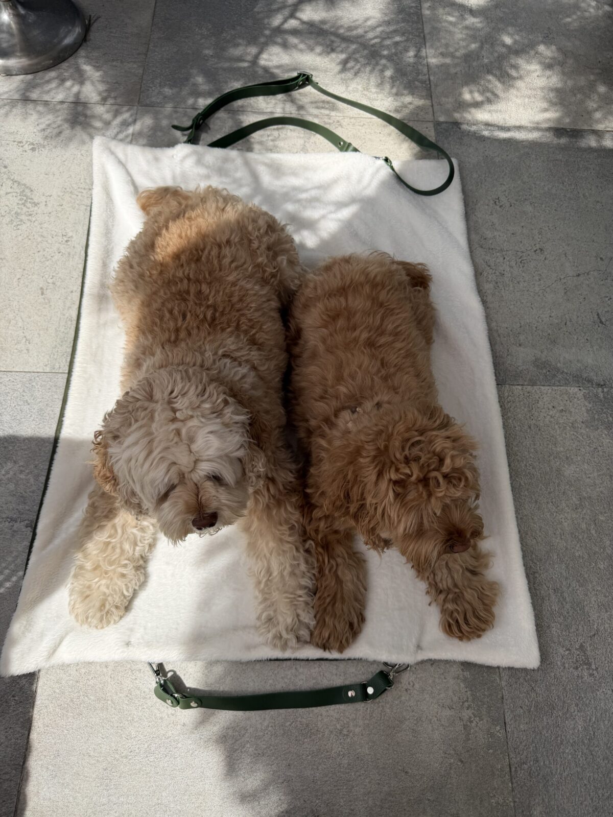 Cozy Travel Mat - obrazek 4