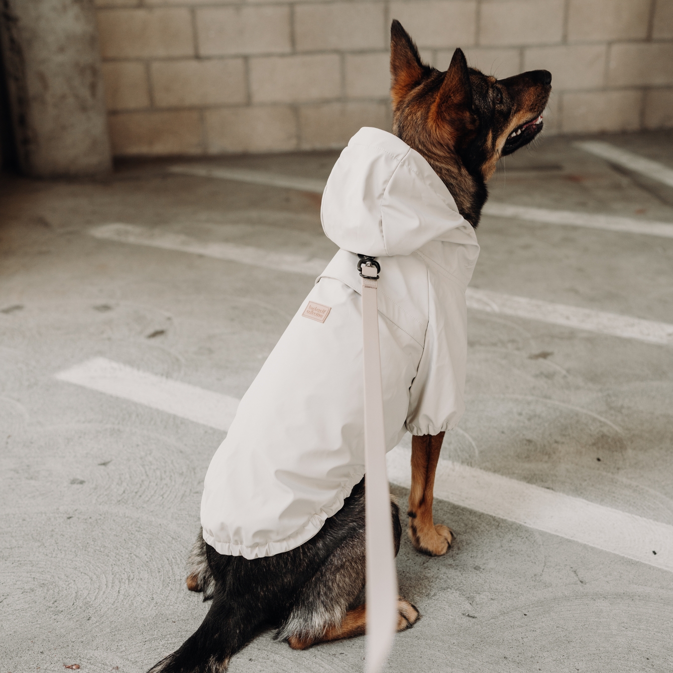 Rain Jacket — Brighton