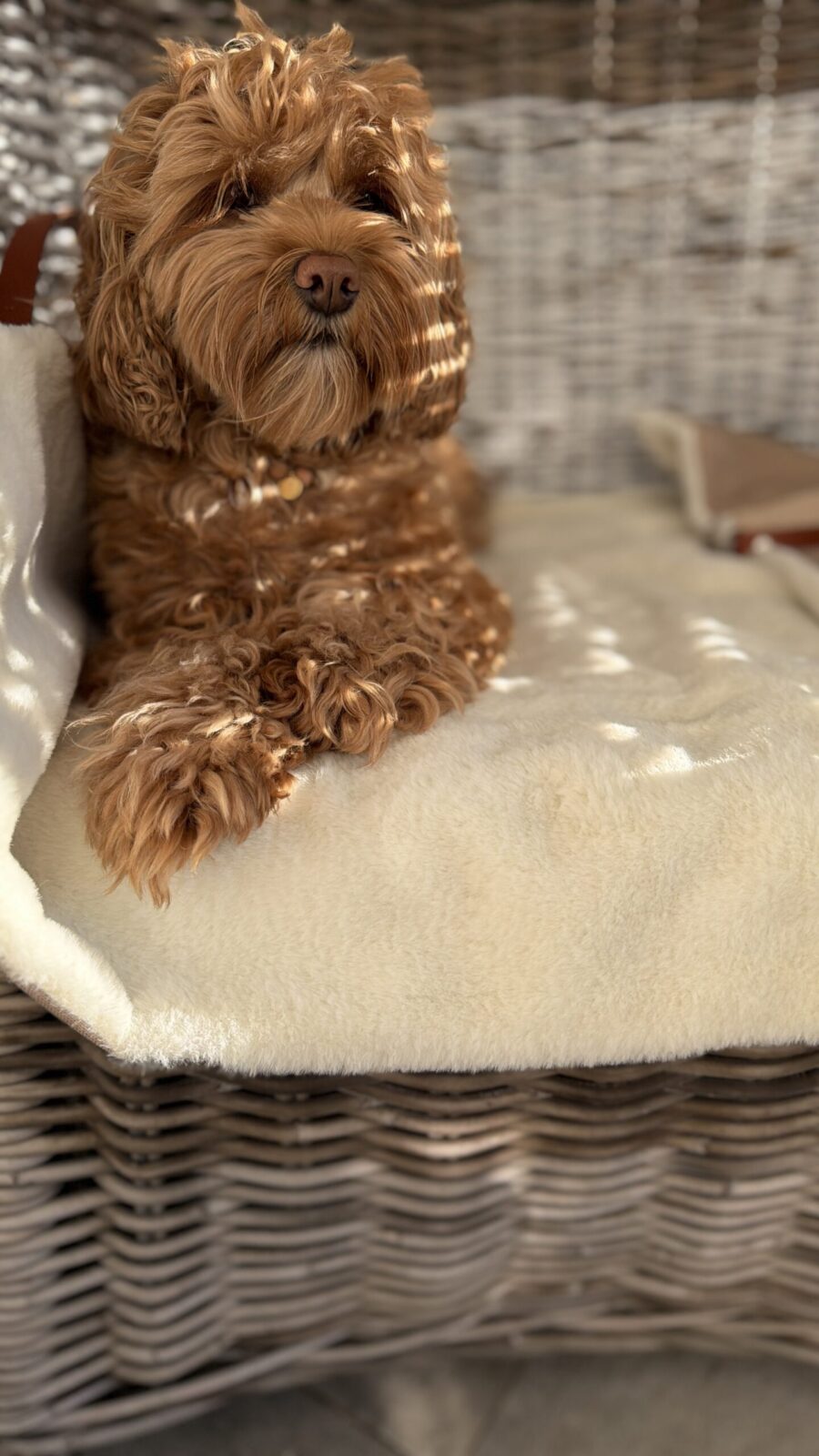 Cozy Travel Mat - obrazek 5