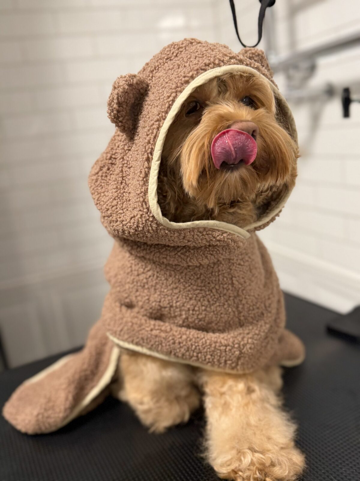 Cozy Bear Towel - obrazek 4
