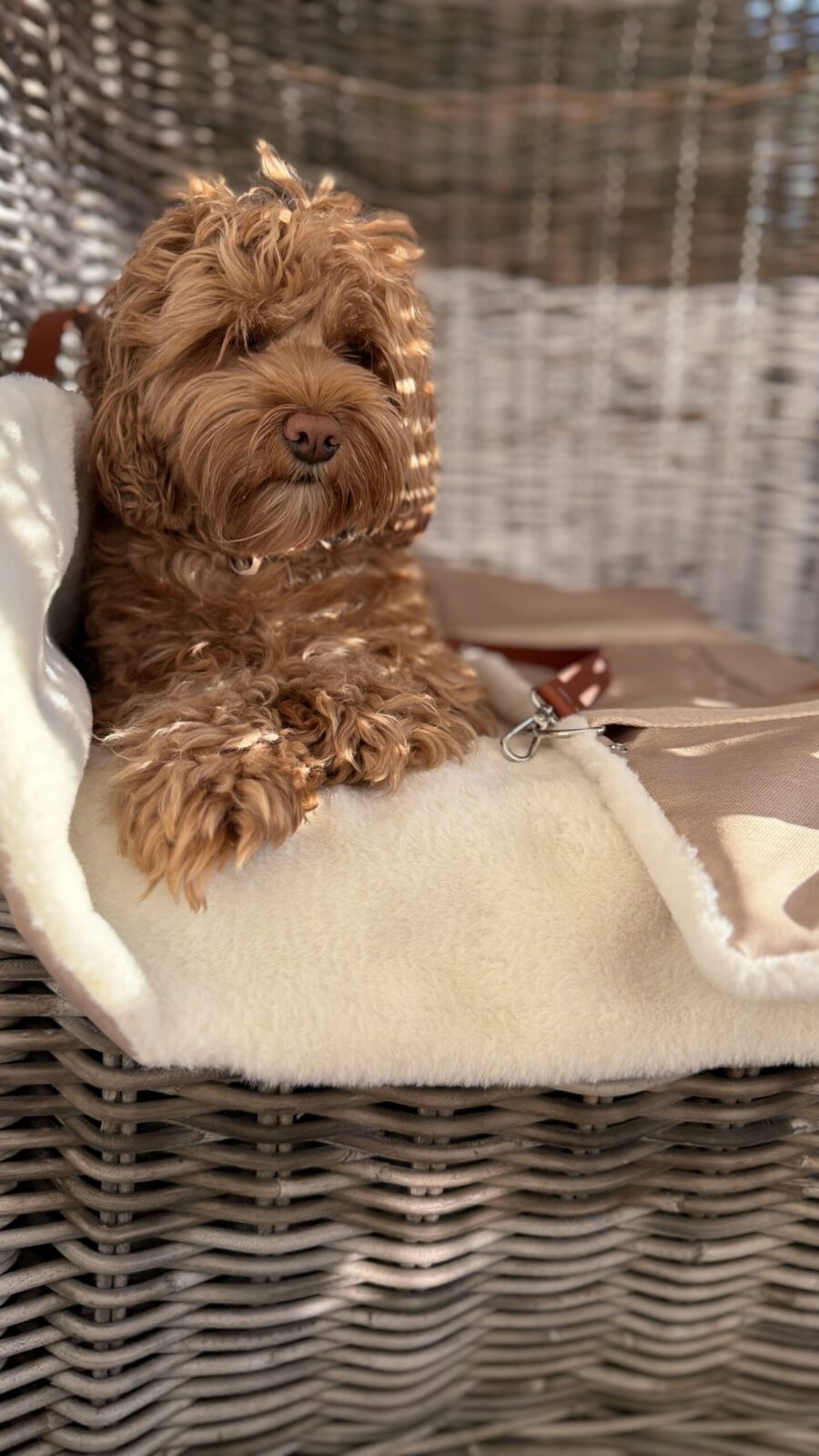 Cozy Travel Mat - obrazek 3