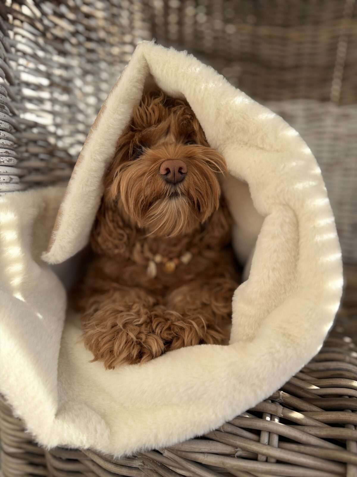 Cozy Travel Mat - obrazek 6