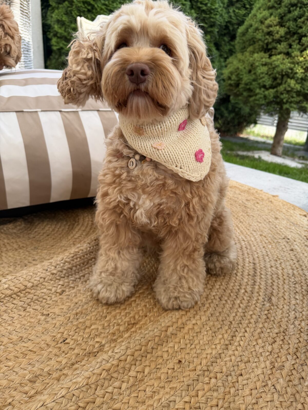 Bandana Flowers - obrazek 4
