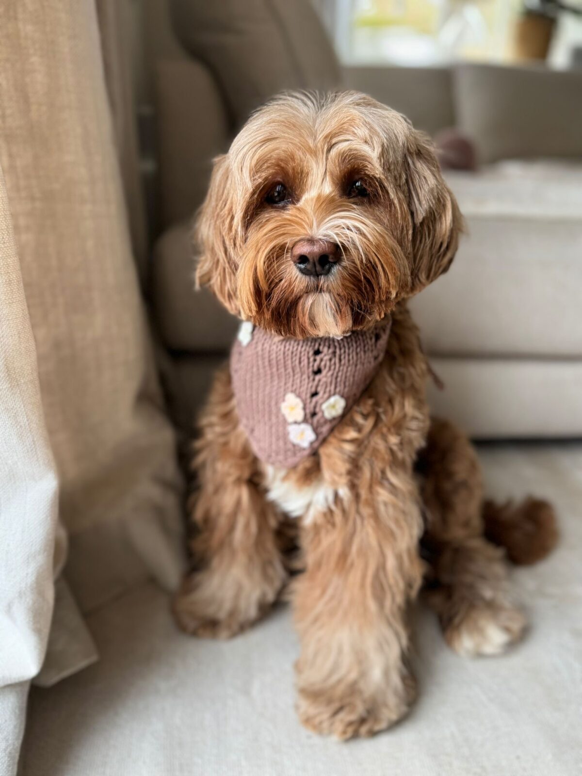 Bandana Daisy - obrazek 11
