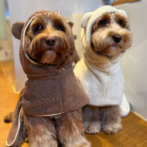 Cozy Bear Towel