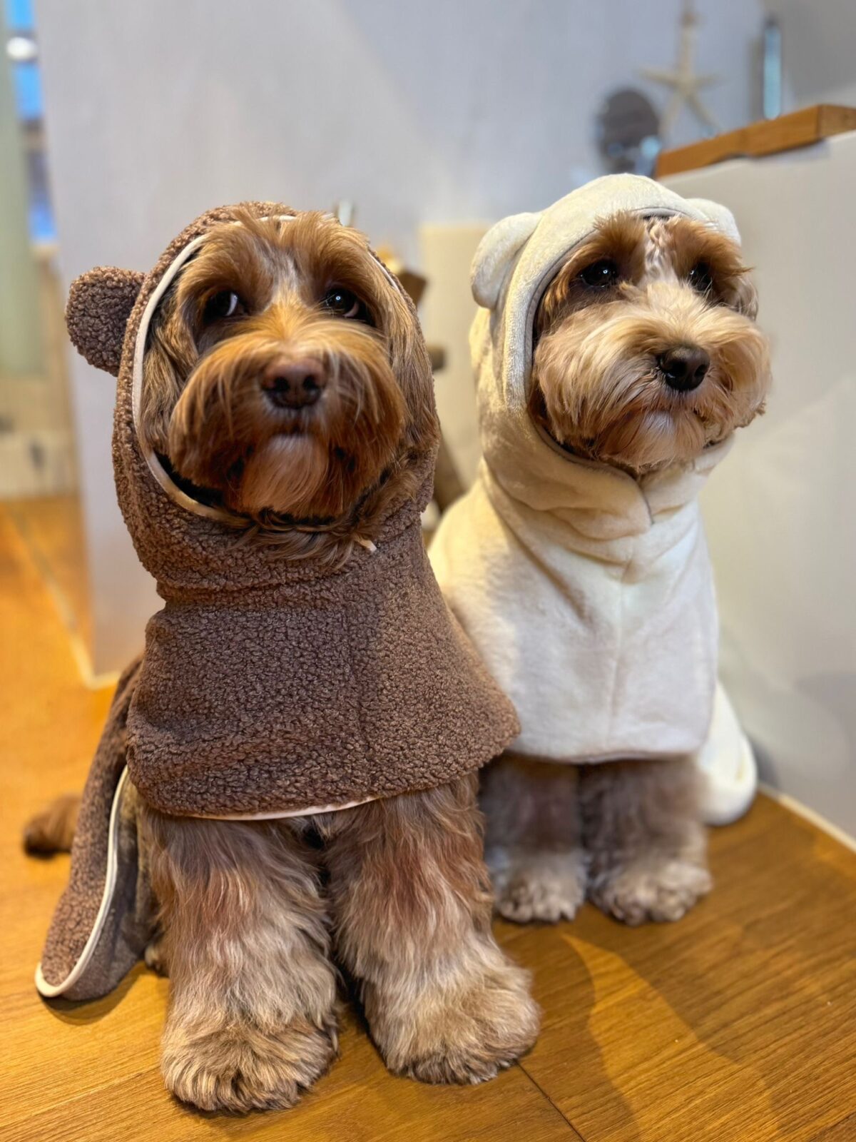 Cozy Bear Towel