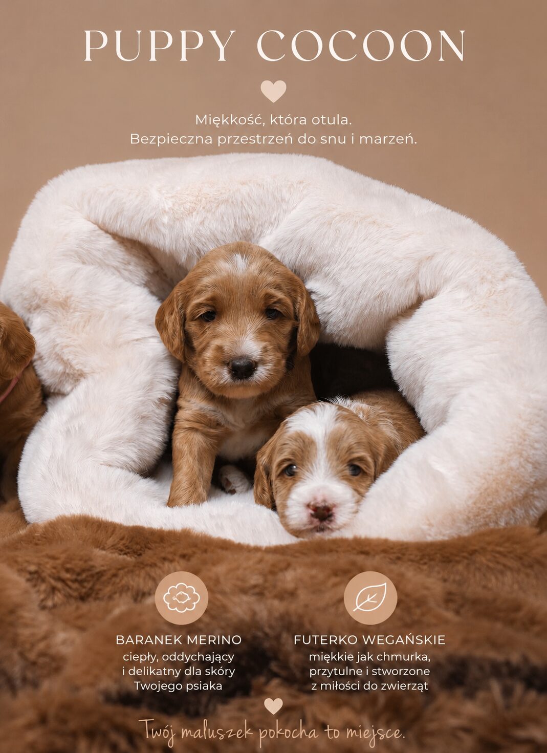 PUPPY COCOON - obrazek 6