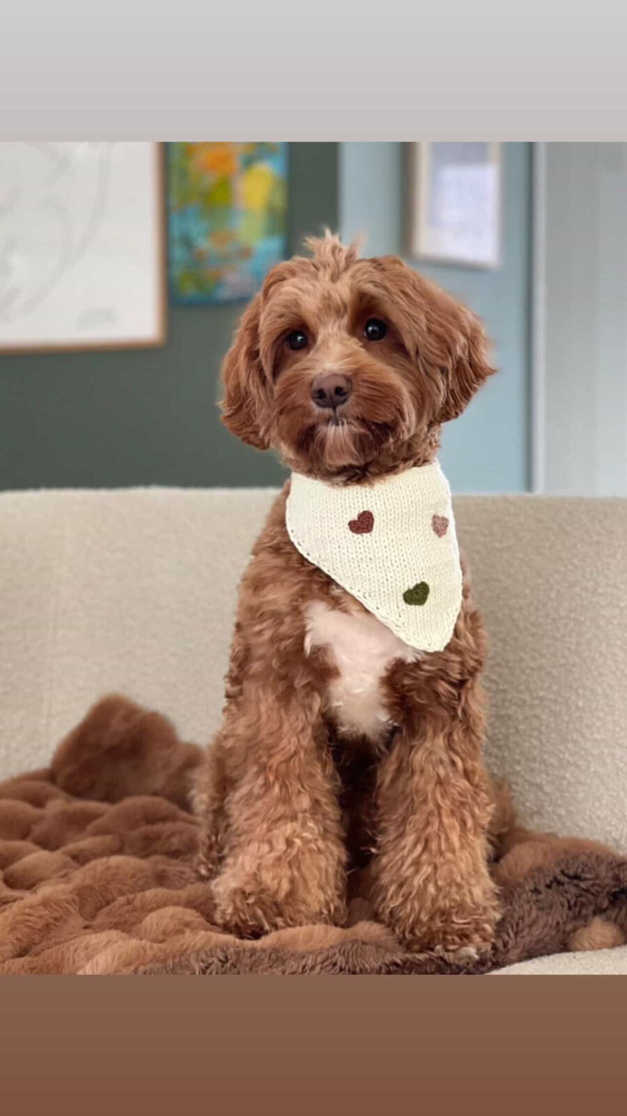 Bandana Hearts I - obrazek 3