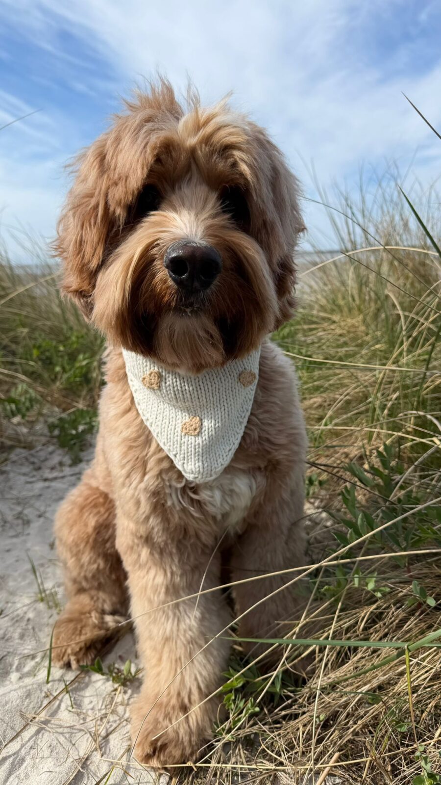 Little Hearts Bandana - Image 22