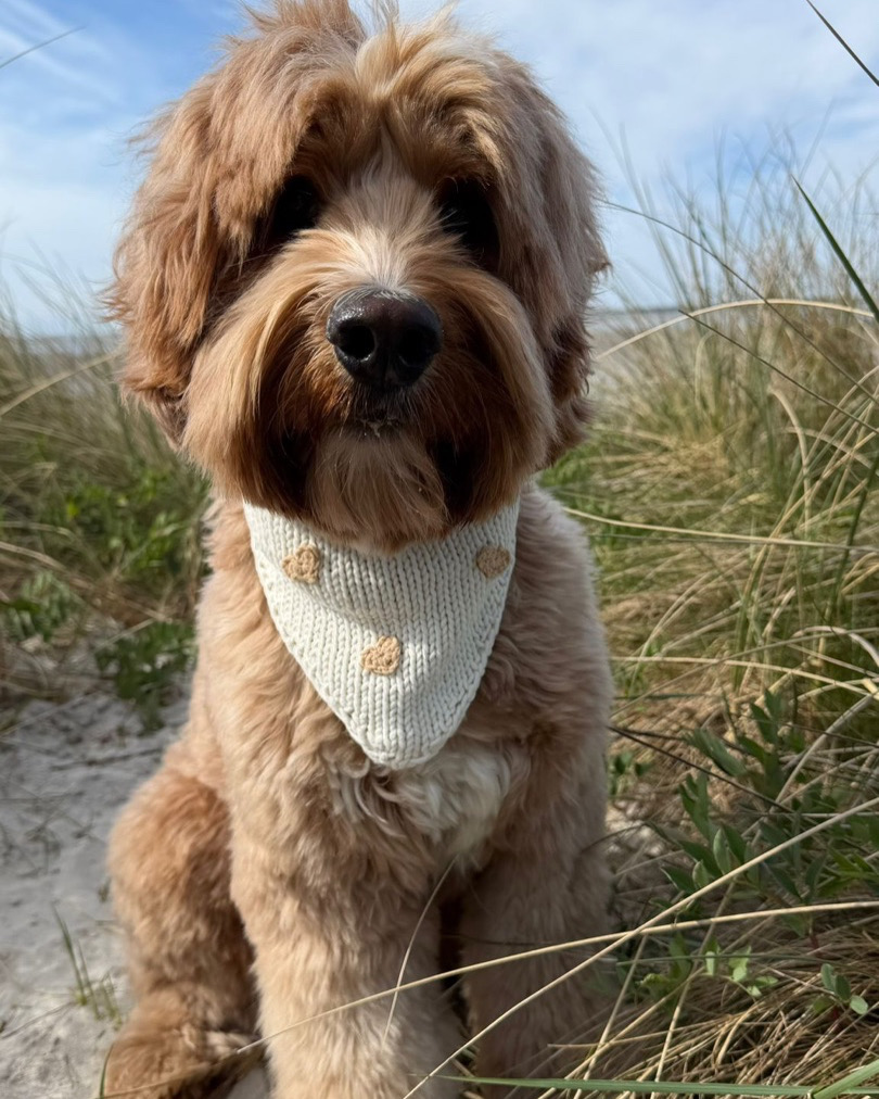 Little Hearts Bandana - Image 21