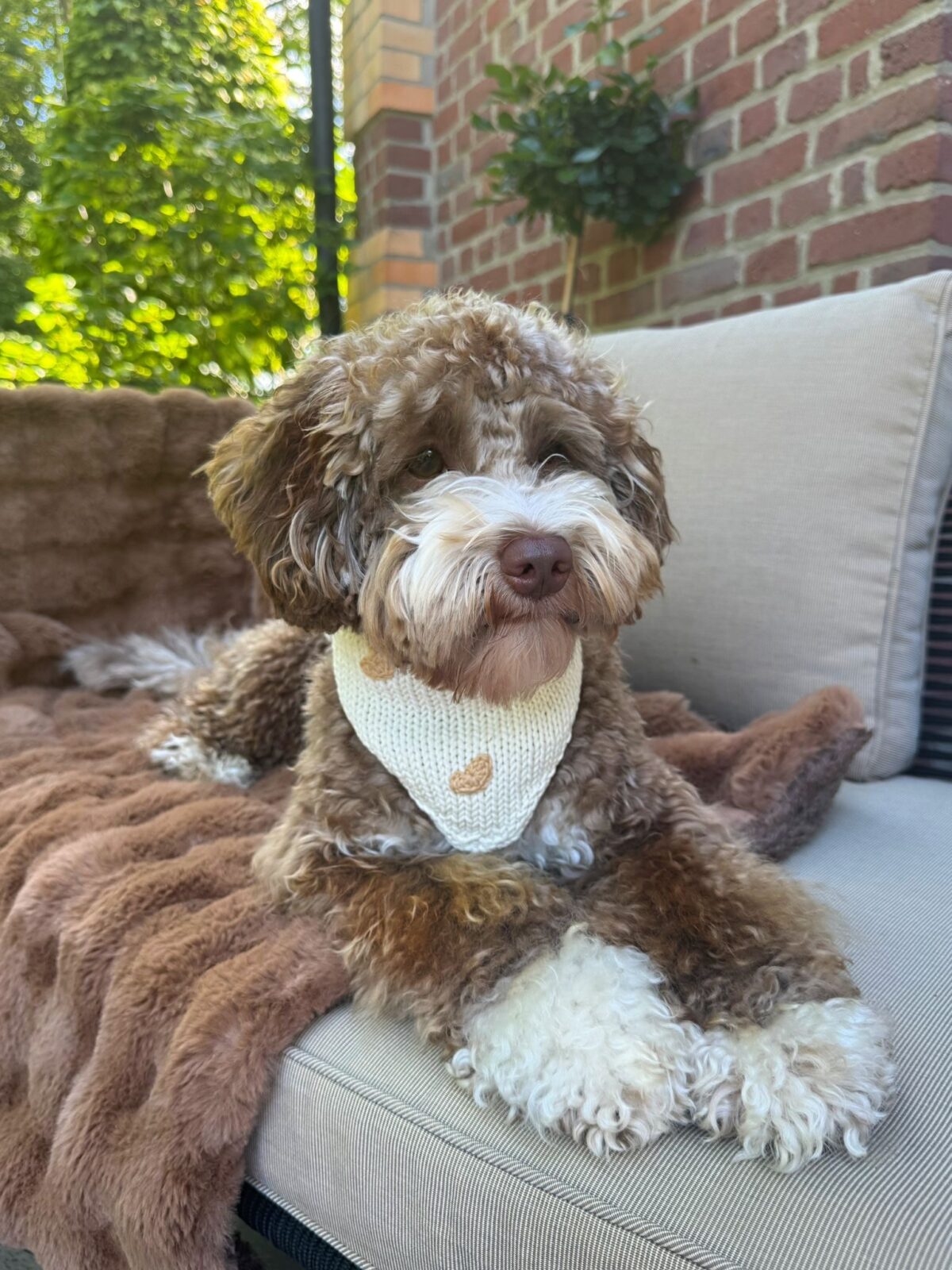 Little Hearts Bandana - Image 16
