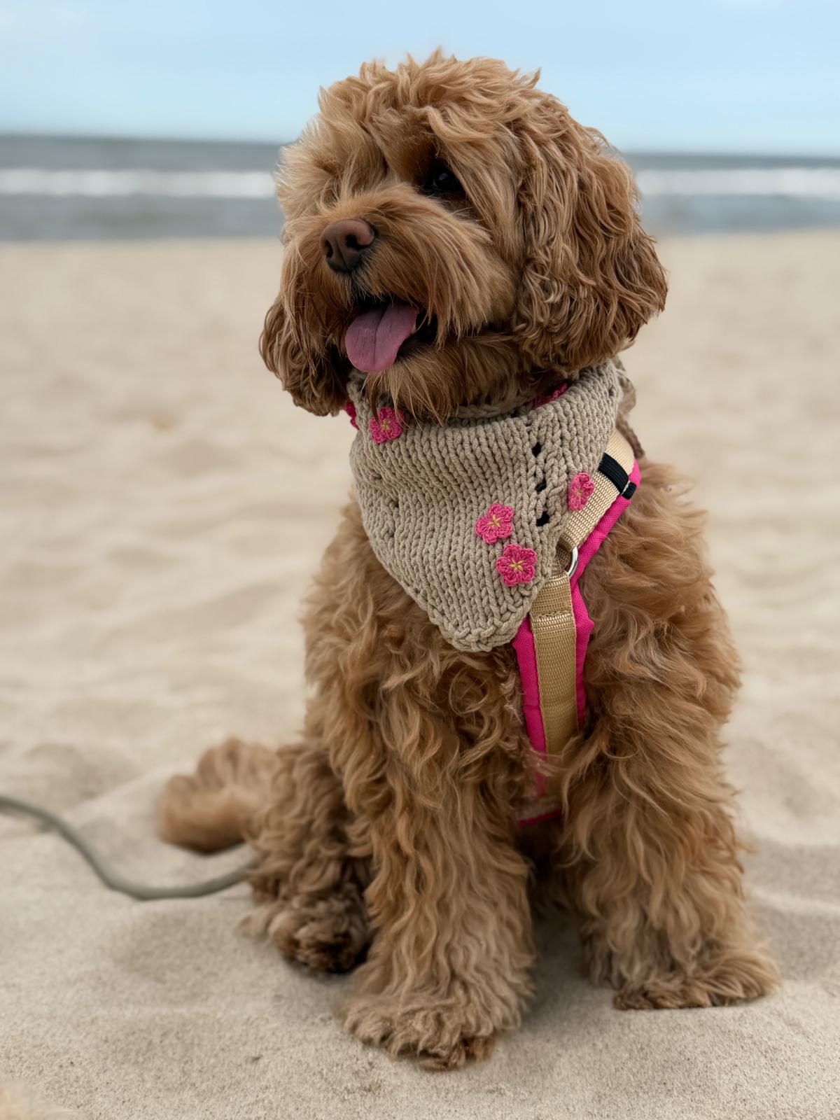 Adventure Dog Harness - Image 10