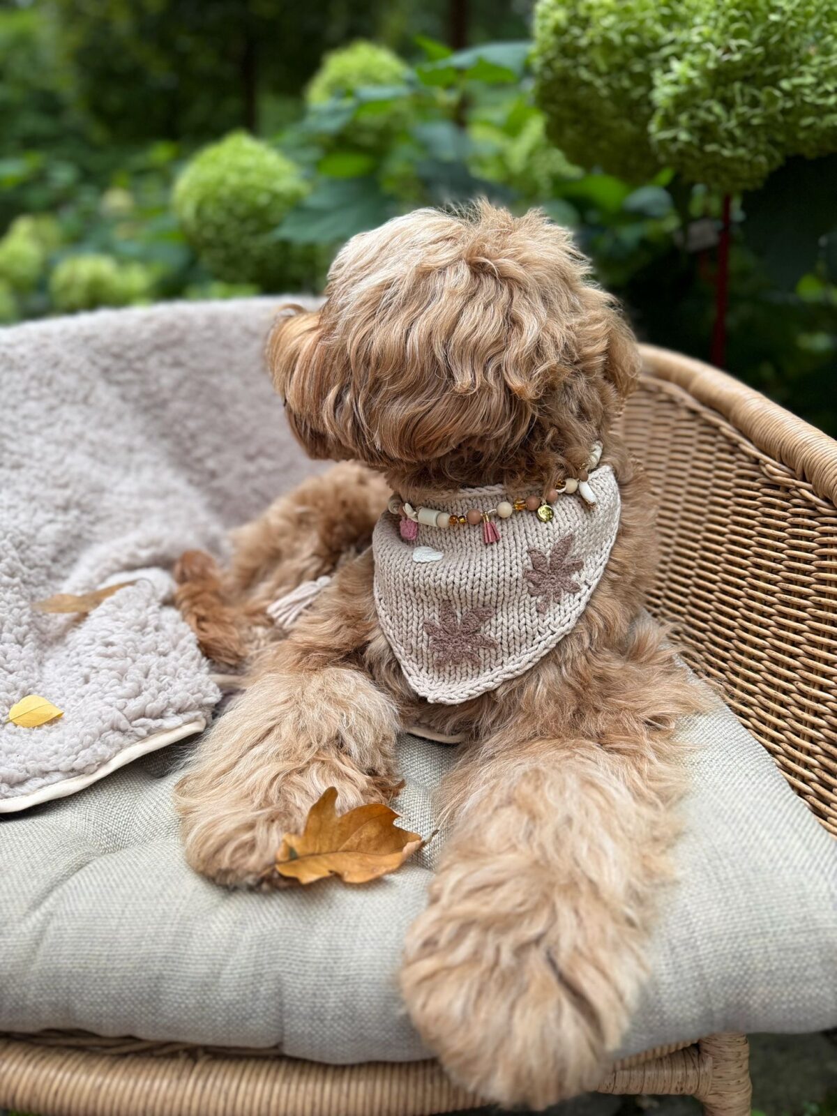 AUTUMN LOVE 🍂 - obrazek 4