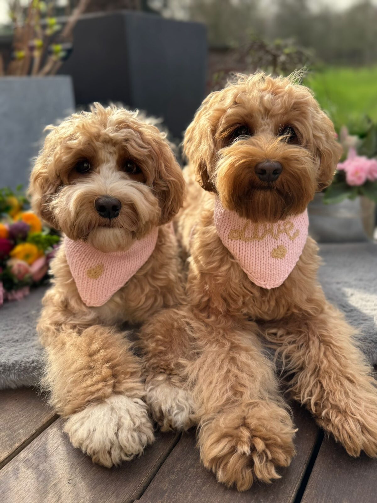 Little Hearts Bandana - Image 10