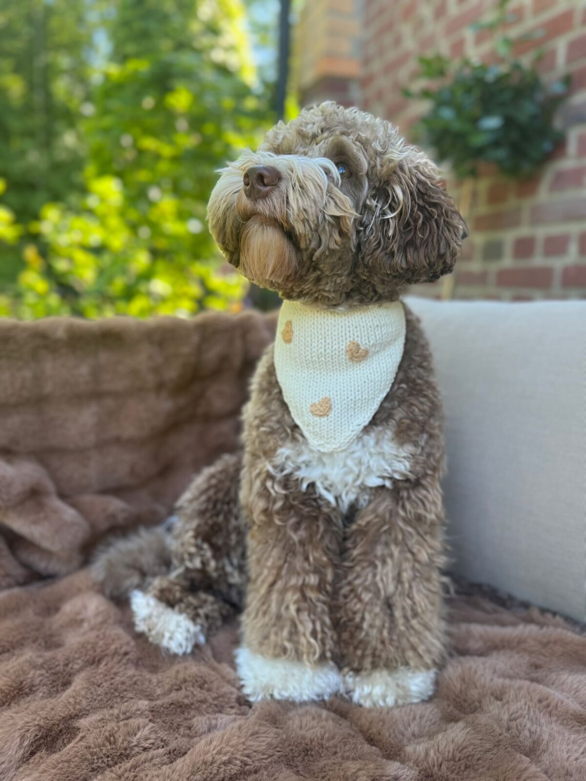Little Hearts Bandana - Image 18