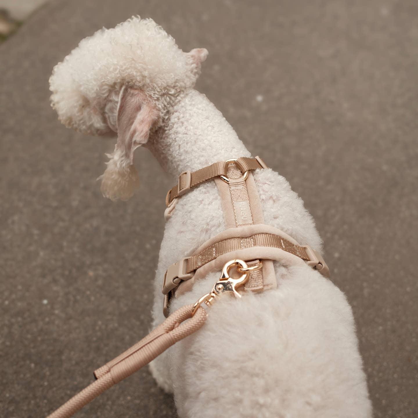 "Sand" - Sherpa Dog Harness - obrazek 2