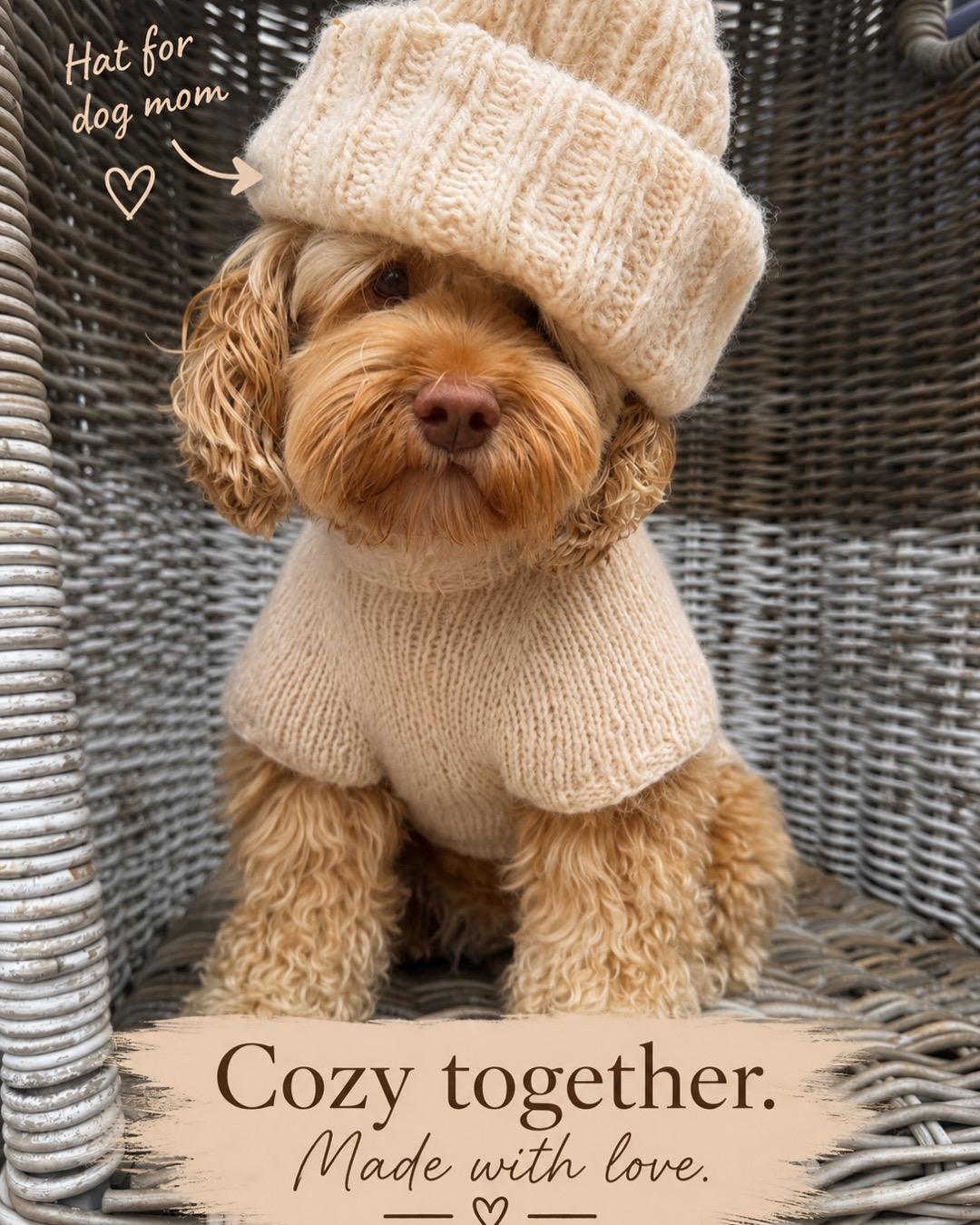 Teddy Dogs Shop