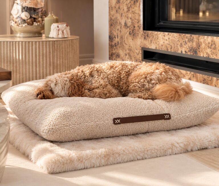 Fluffy Cloud Set – Teddy Dogs