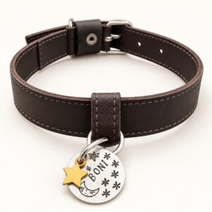 Signature leather collar